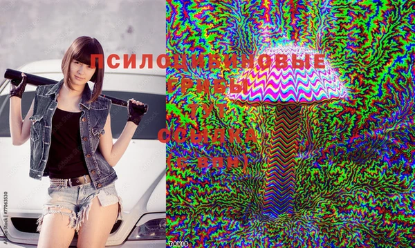 ПСИЛОЦИБИНОВЫЕ ГРИБЫ Беломорск